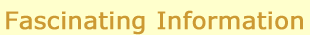 Fascinating Information top menu category header